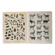 Reserved Matthieu - Lot of 2 20th century lithos.