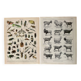 Réservé Matthieu - Lot de 2 lithos XXe s.