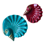 Empty pockets of vallauris shells