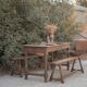 Table and benches set