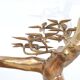 Willy Daro brass Bonsai and glass coffee table, 1970s
