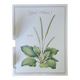 Botanical board