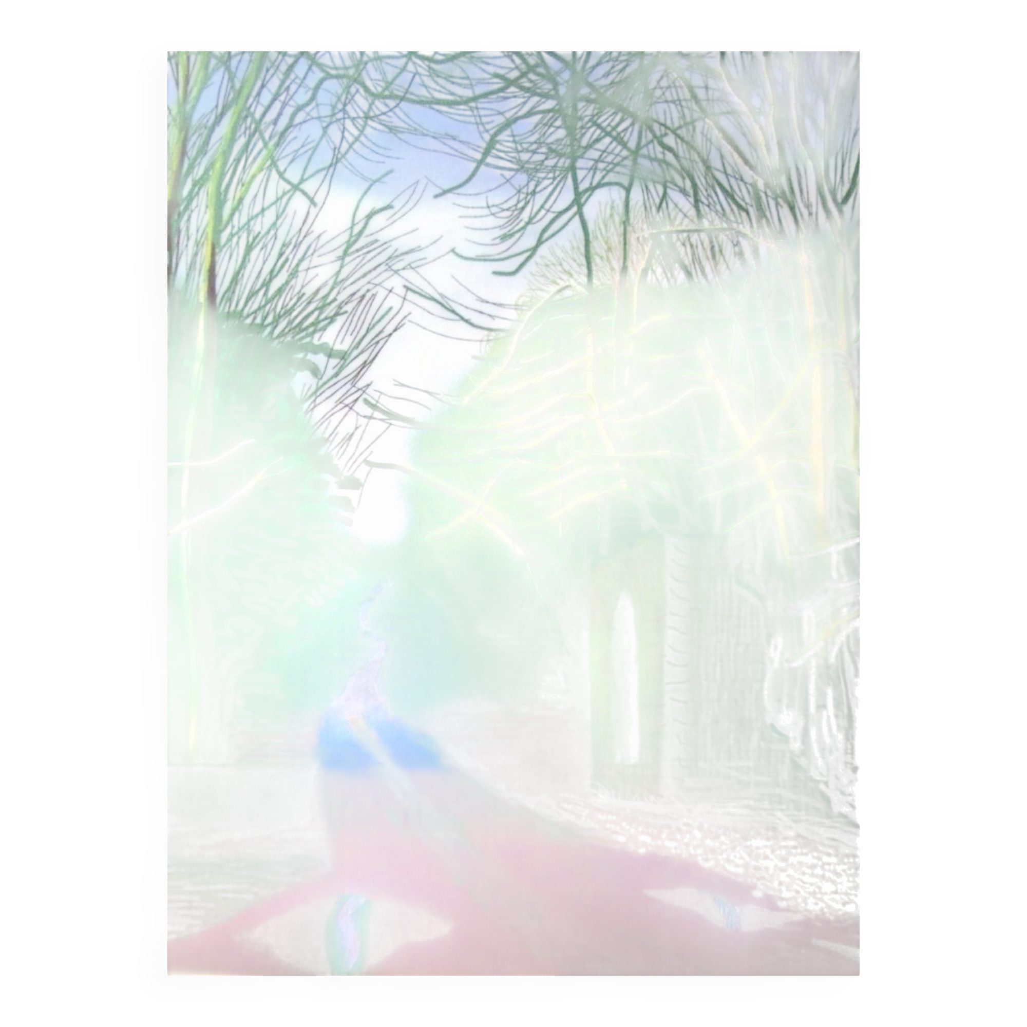 Lithograph by David Hockney, signed and numbered.