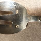 Silver metal fish service