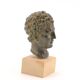 Paperweight bust of Hermes in patinated plaster, 1970s