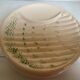 Six antique asparagus plates