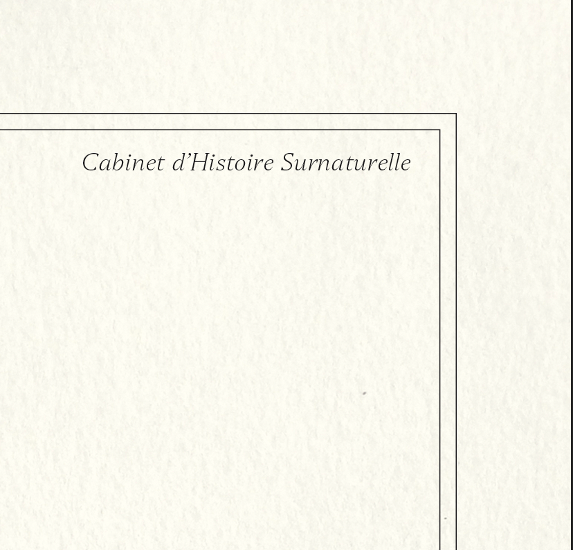 Chimera lithograph engraving animal - the marmoset