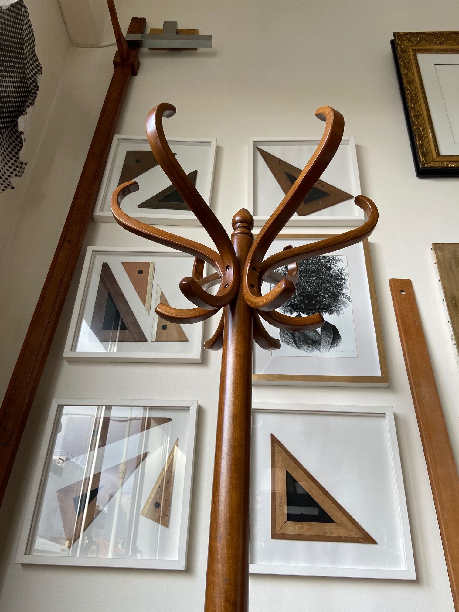 Light wooden parrot coat holder 6 patères