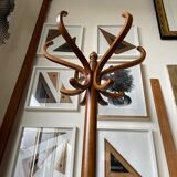 Light wooden parrot coat holder 6 patères