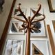 Light wooden parrot coat holder 6 patères