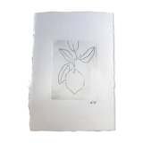 Lemon engraving