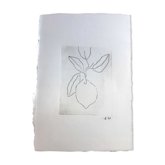 Lemon engraving