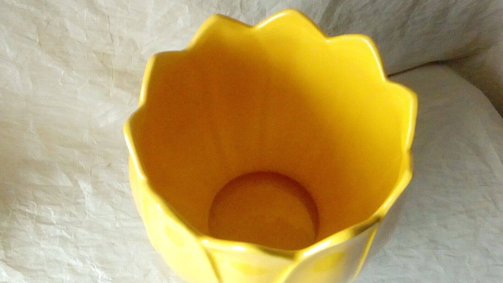 Water lily shaped earthenware pot