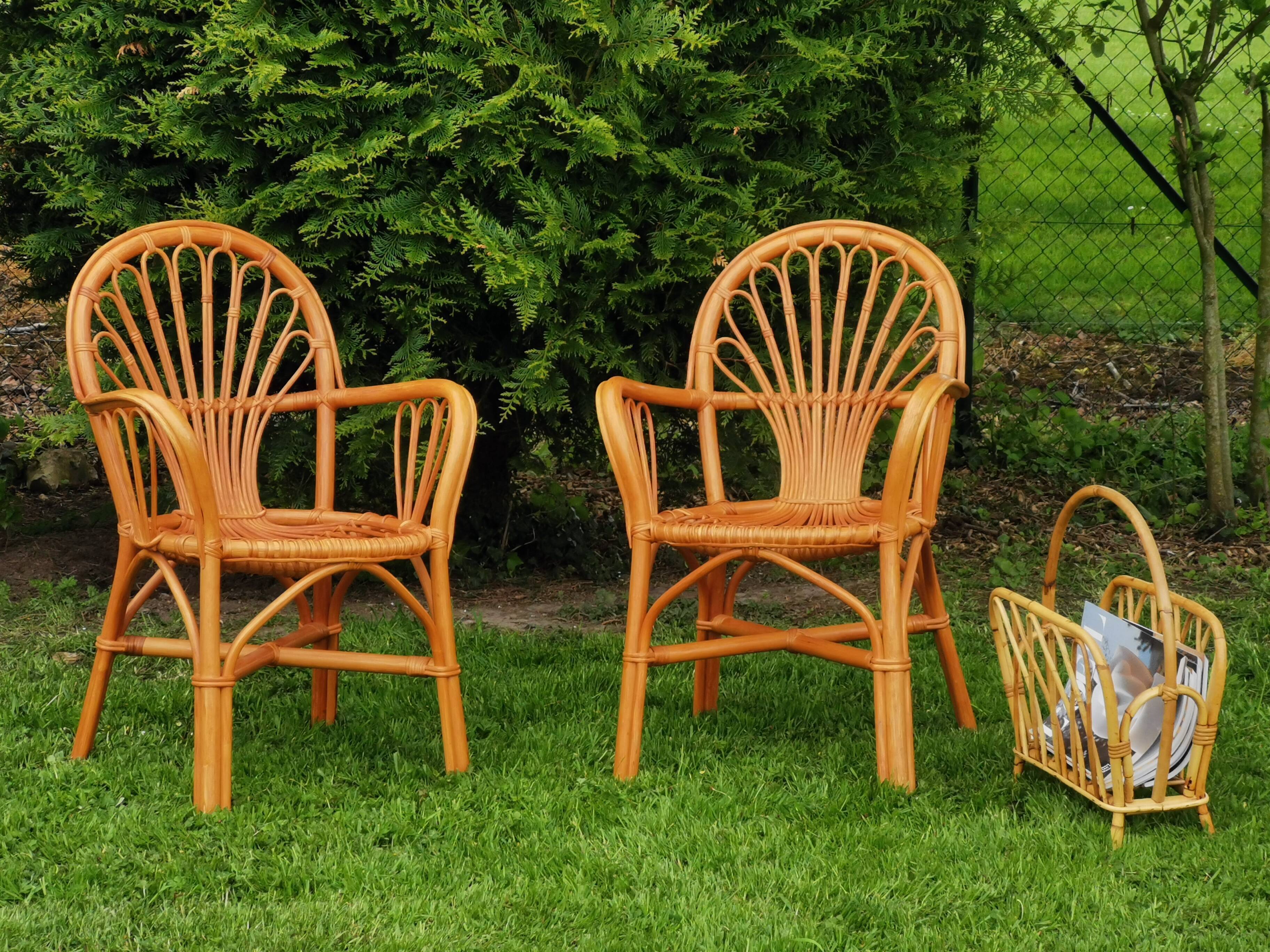 Rattan chairs