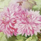 Porcelain dish of LIMOGES decoration of pink DAHLIA signed MARTIAL