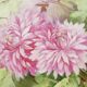 Porcelain dish of LIMOGES decoration of pink DAHLIA signed MARTIAL