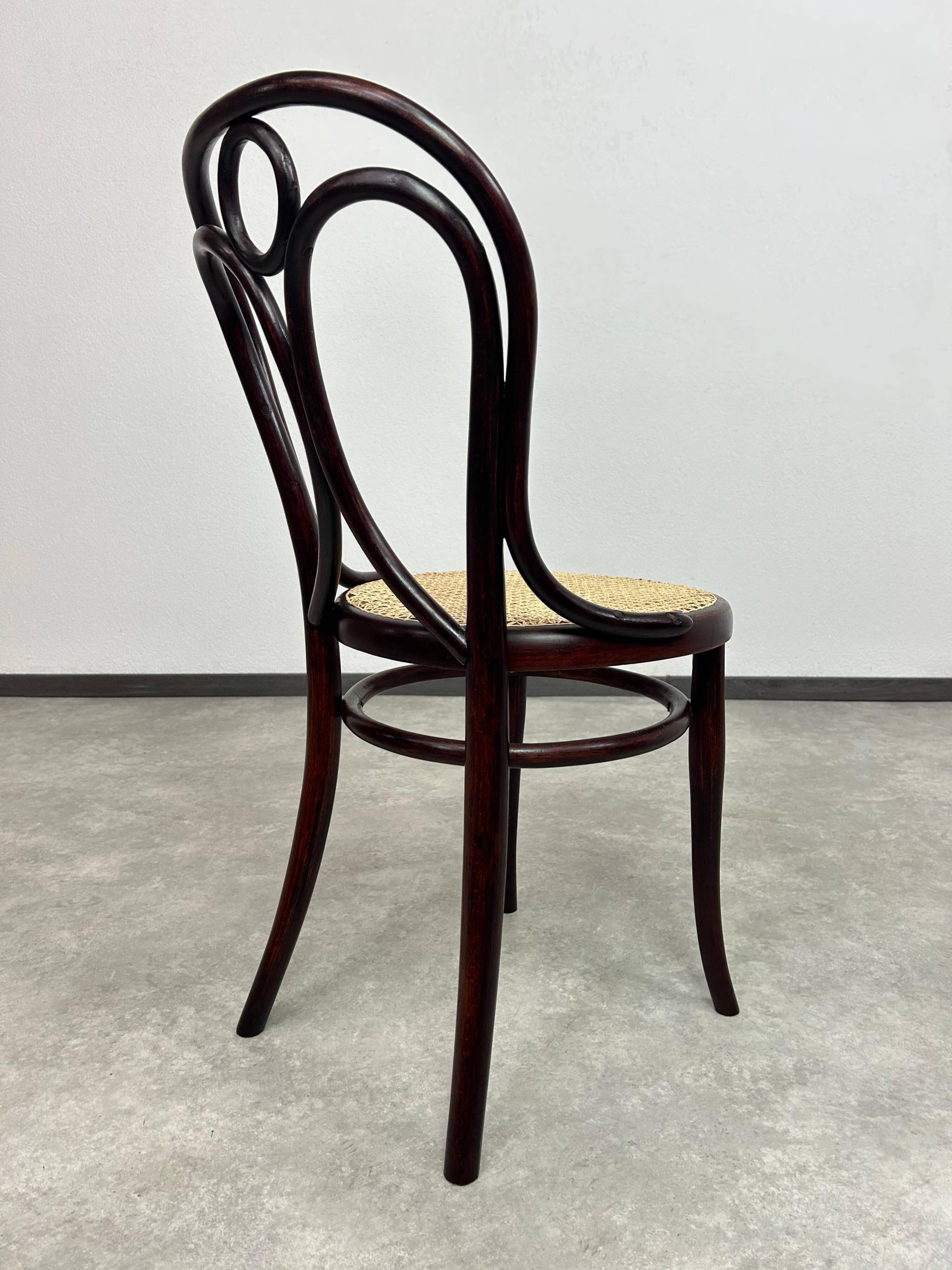 Bentwood dining chair No. 19 by Thonet