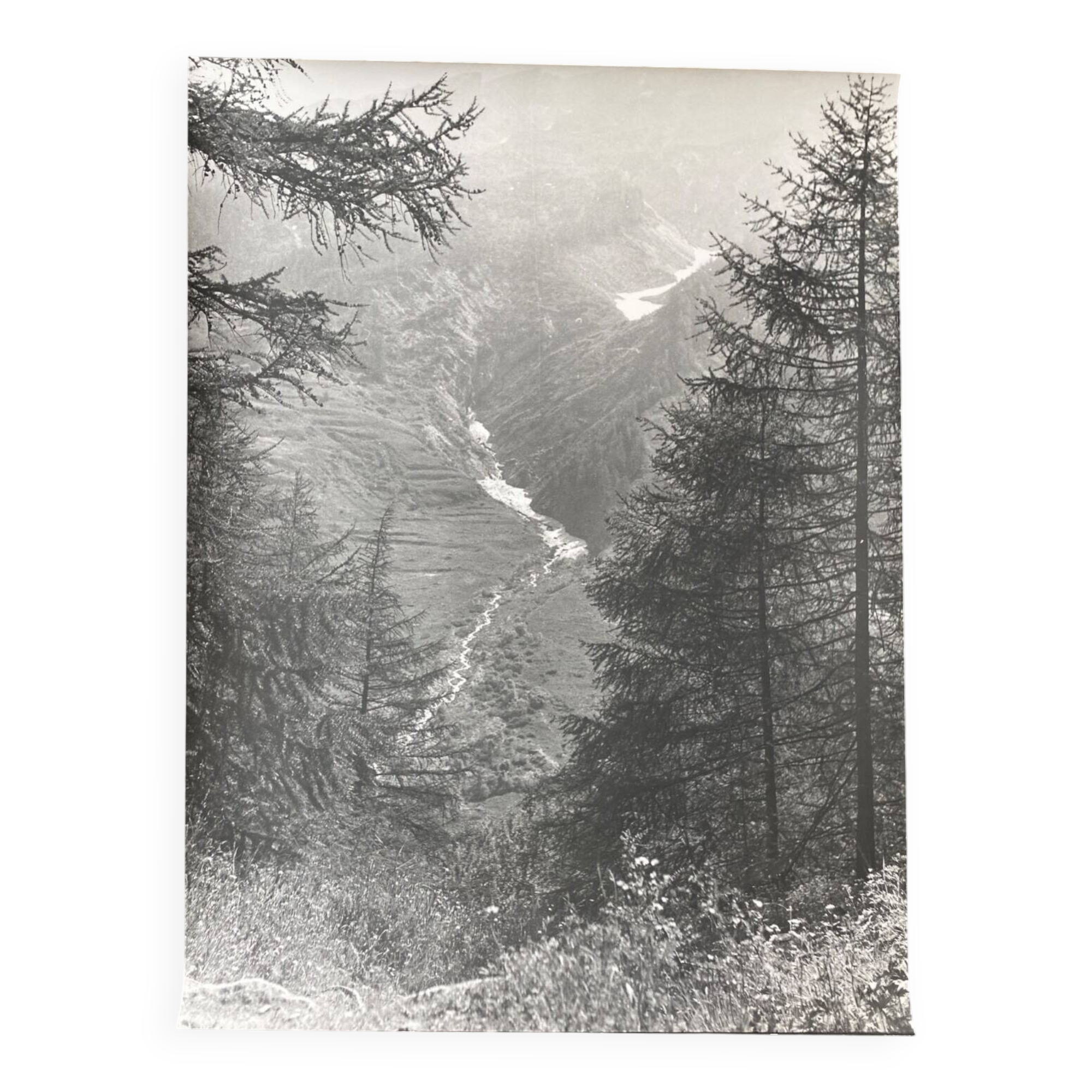Silver photo Bernard Darot 20th Torrent in the valley