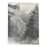 Photo argentique Bernard Darot XXe Torrent dans la vallée