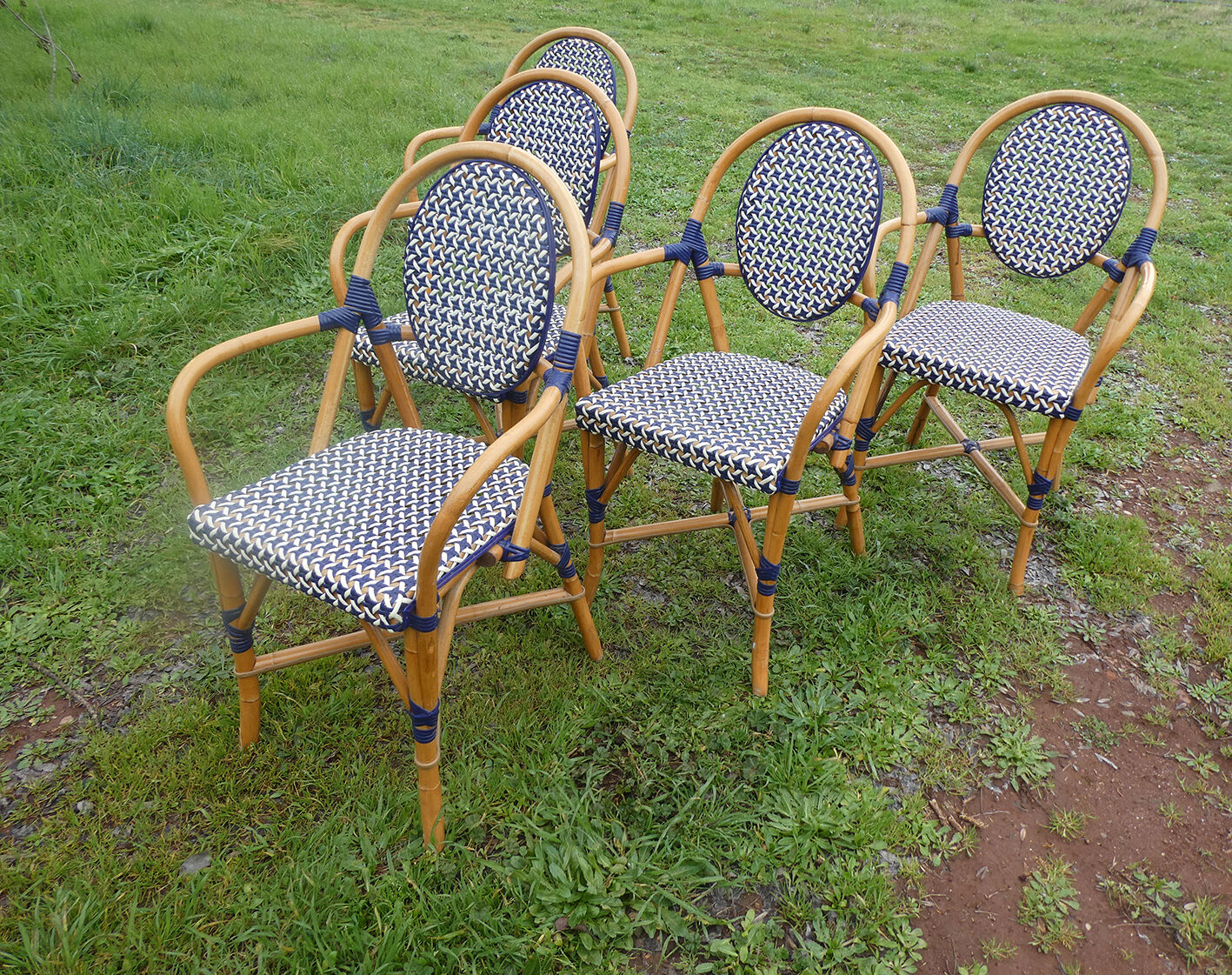 Lot de 5 fauteuils bistrot de terrasse type "parisienne" blanc et bleu