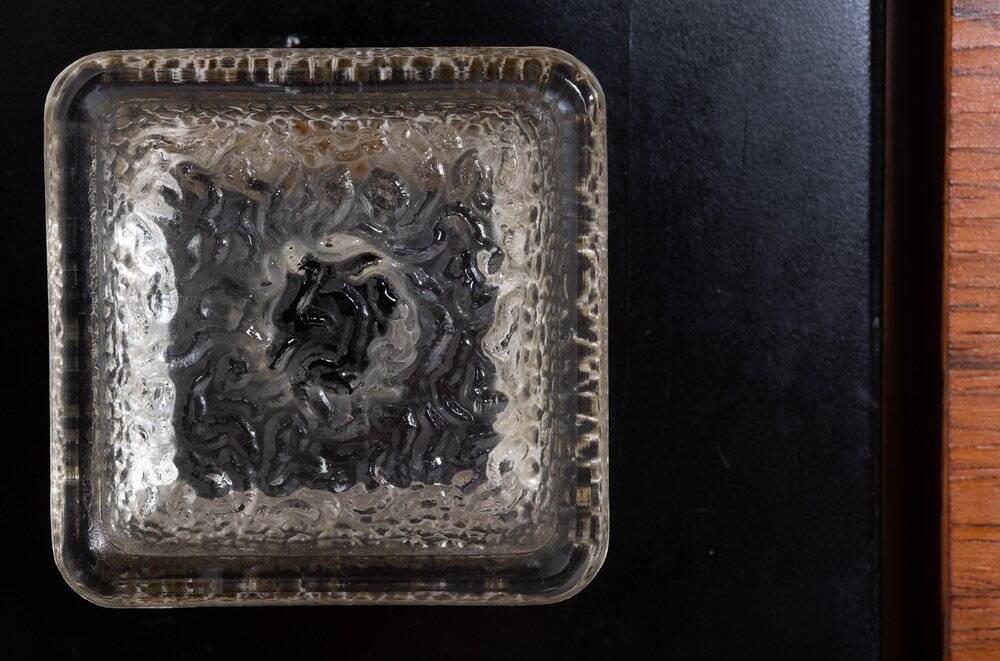 Enfilade in Rosewood by Fristho, Franeker, Netherlands, 1960s