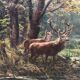 The painting "Deer".