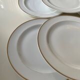 Limoges porcelain plates