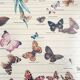 TABLEAU Display BUTTERFLY Italy