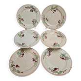 Set of 6 flat plates Boch La Louvière Belgium model 2460 with polychrome cherry decoration.