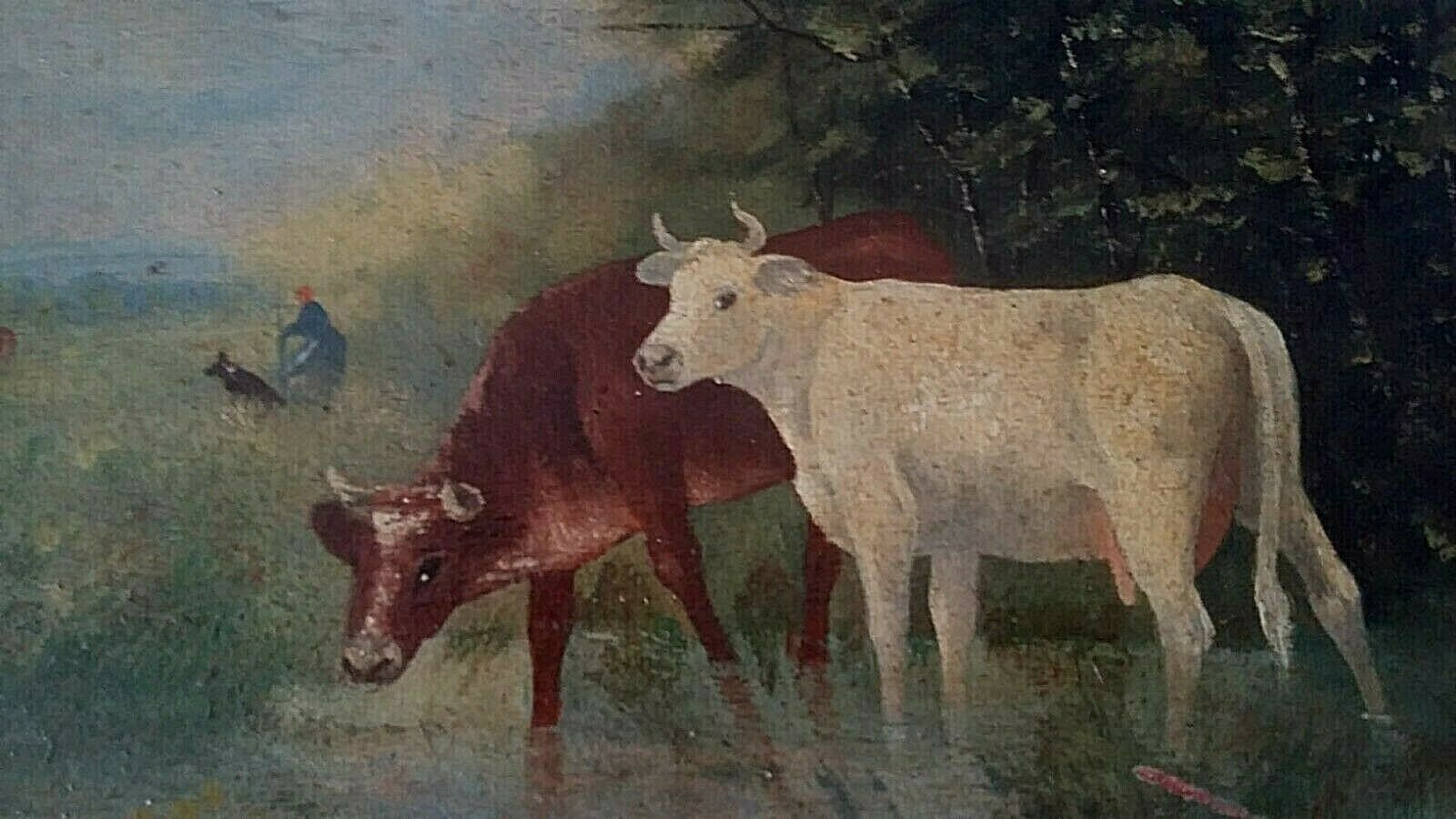 Table oil on panel cows late 19th early 20th century