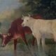 Table oil on panel cows late 19th early 20th century