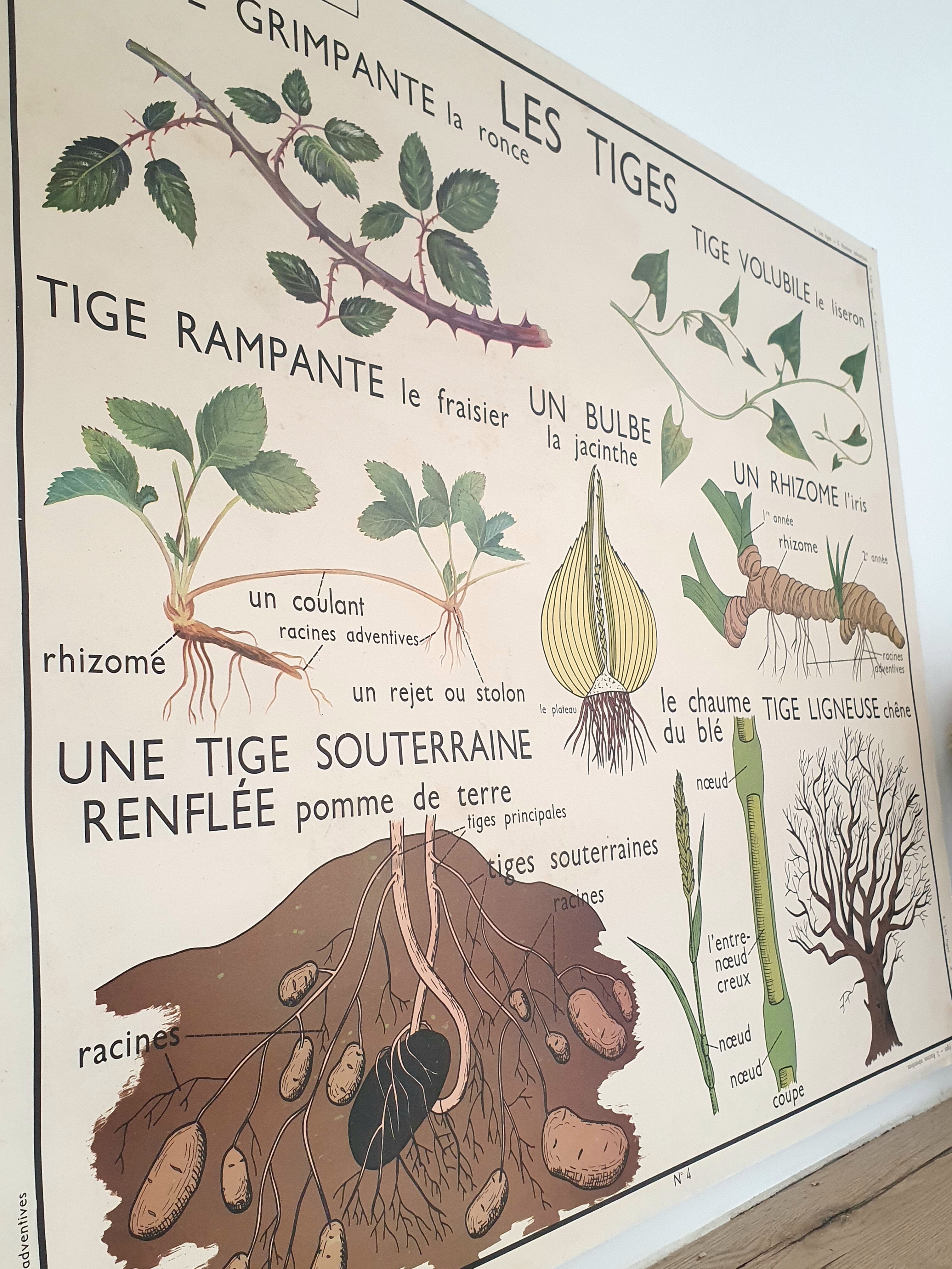 Rossignol school poster