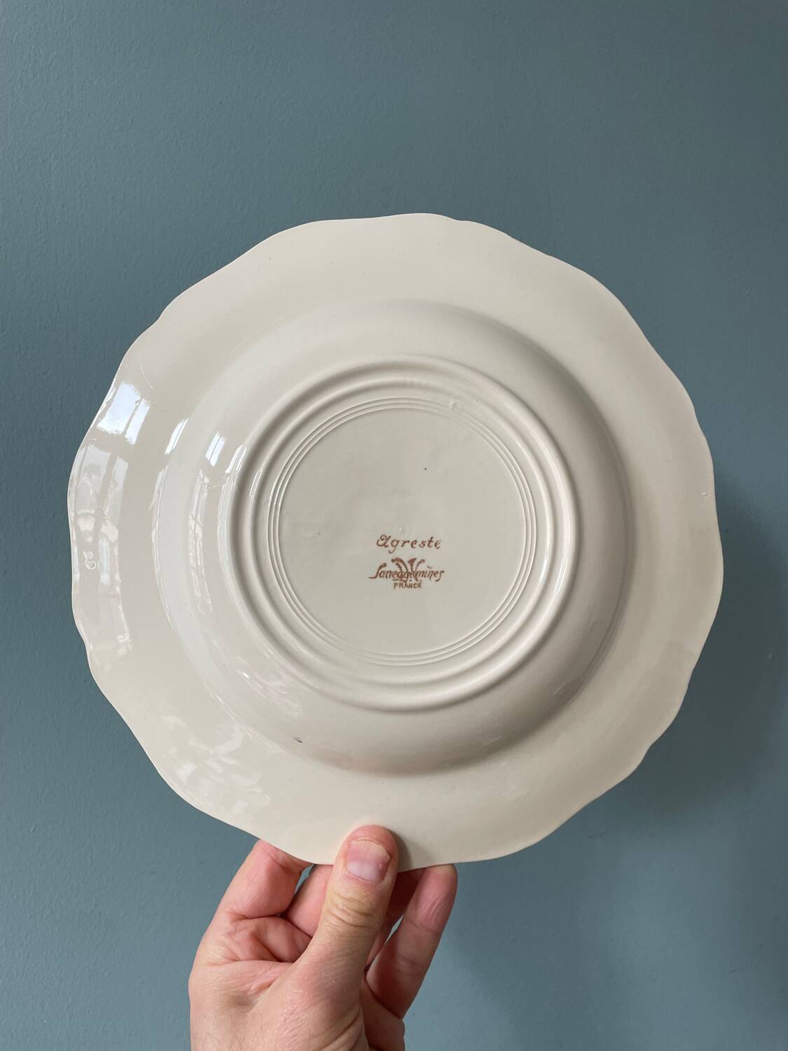 Series of 9 Sarreguemines France soup plates, Agreste collection