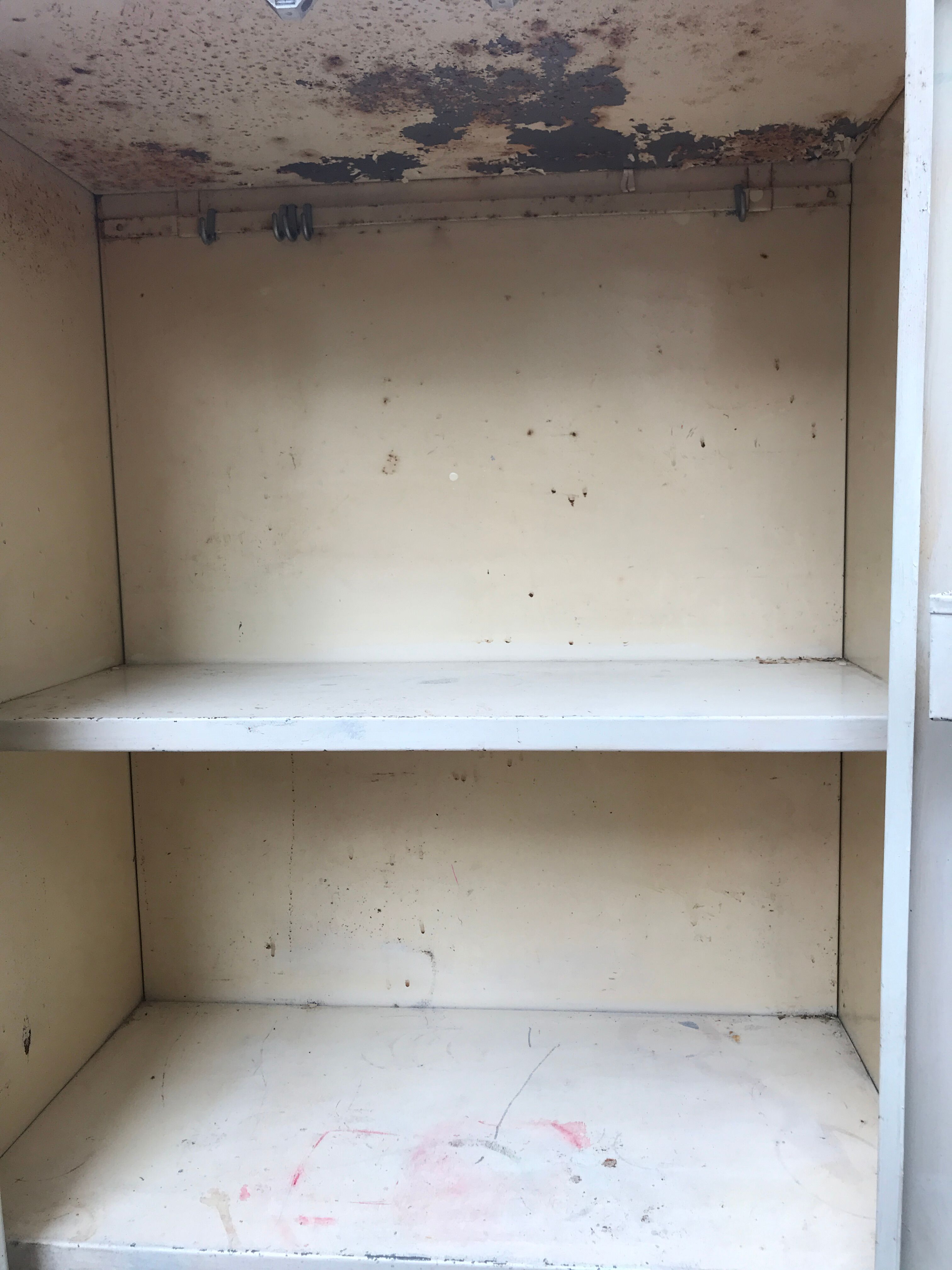 Parisian white metal kitchen cabinet