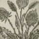 Duo of thistle plates