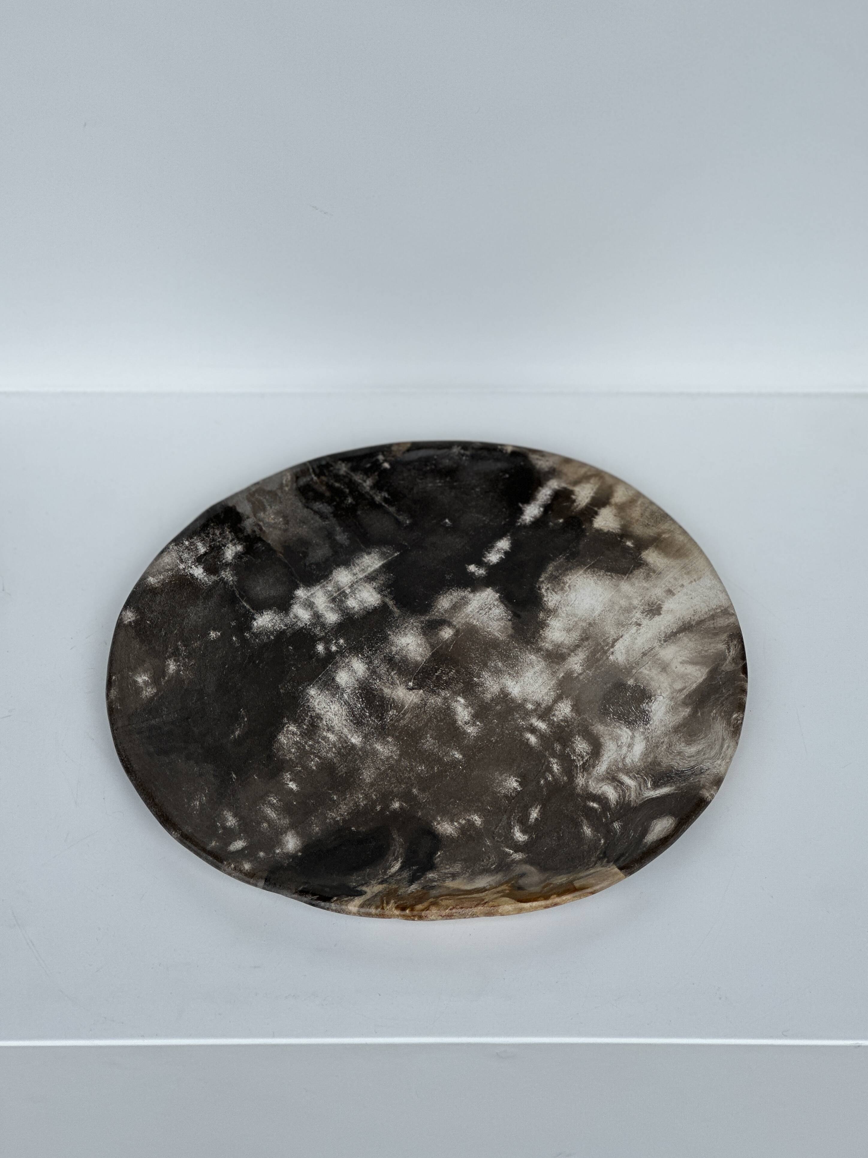 Medium petrified wood dish or pocket emptier, predominantly gray 1137