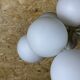 60s 70s floor lamp ball lamp by ER Nele for Temde Leuchten Switzerland