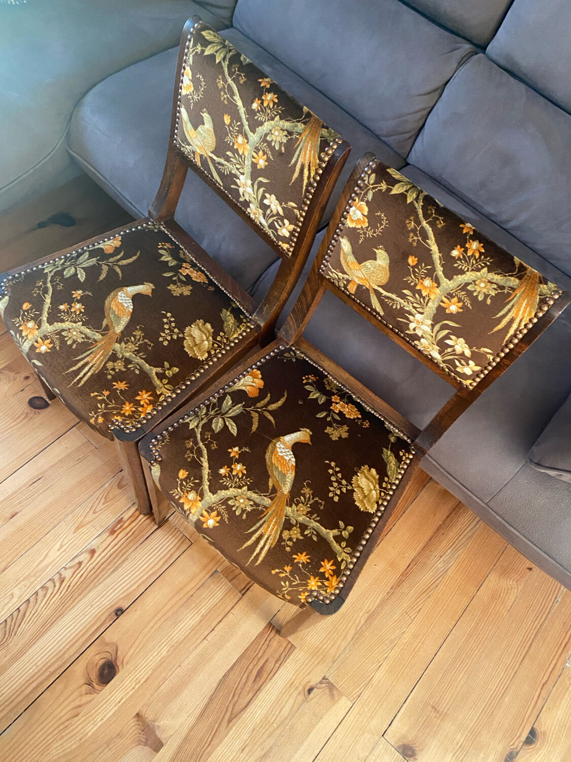 Set de 2 chaises vintage en velours oiseaux 1960-1970, état comme neuf.