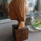 Young girl bust