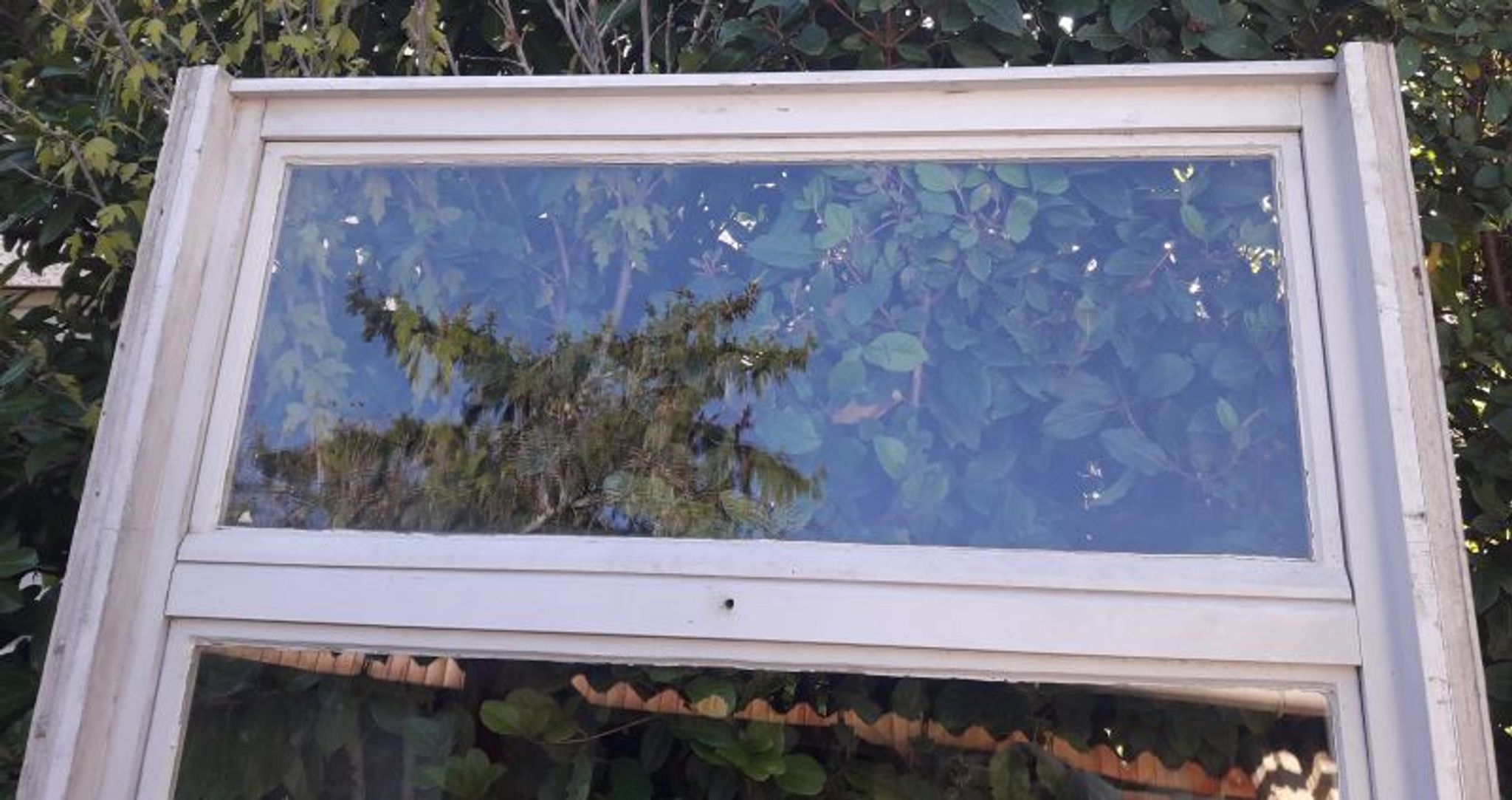 Verrière bois 3 fenêtres à soufflet et abbatant