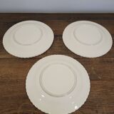 3 Lemon Barbotine plates