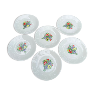 Lot 6 flat plates gien pattern anemones