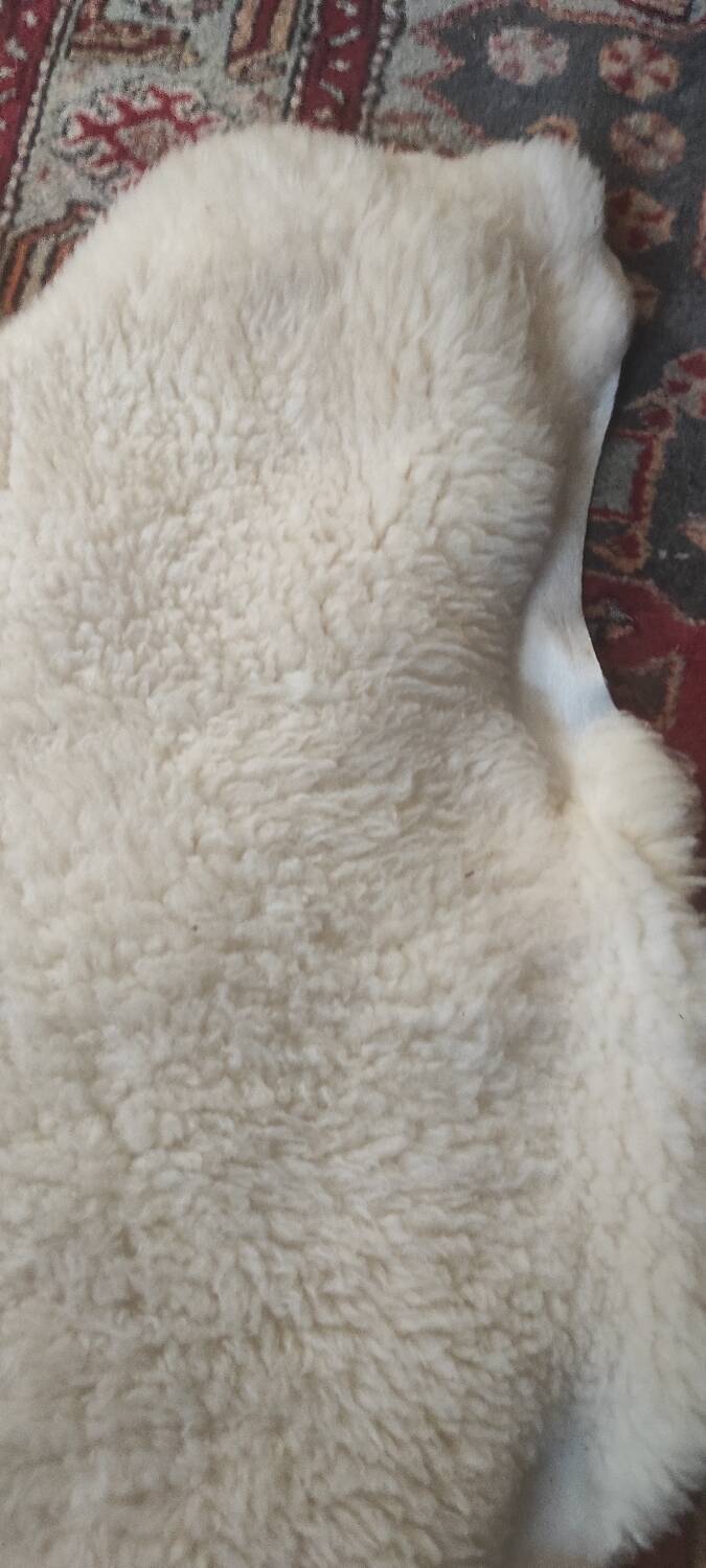 Sheepskin