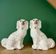 Paire de Chiens type Staffordshire en céramique blanche et dorée