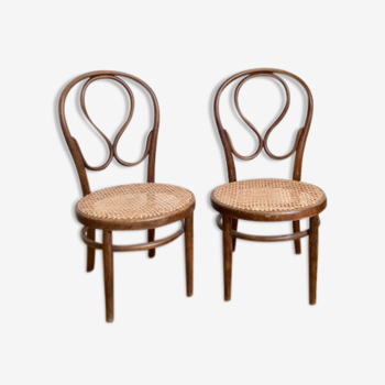 Chaises Thonet Oméga n°20