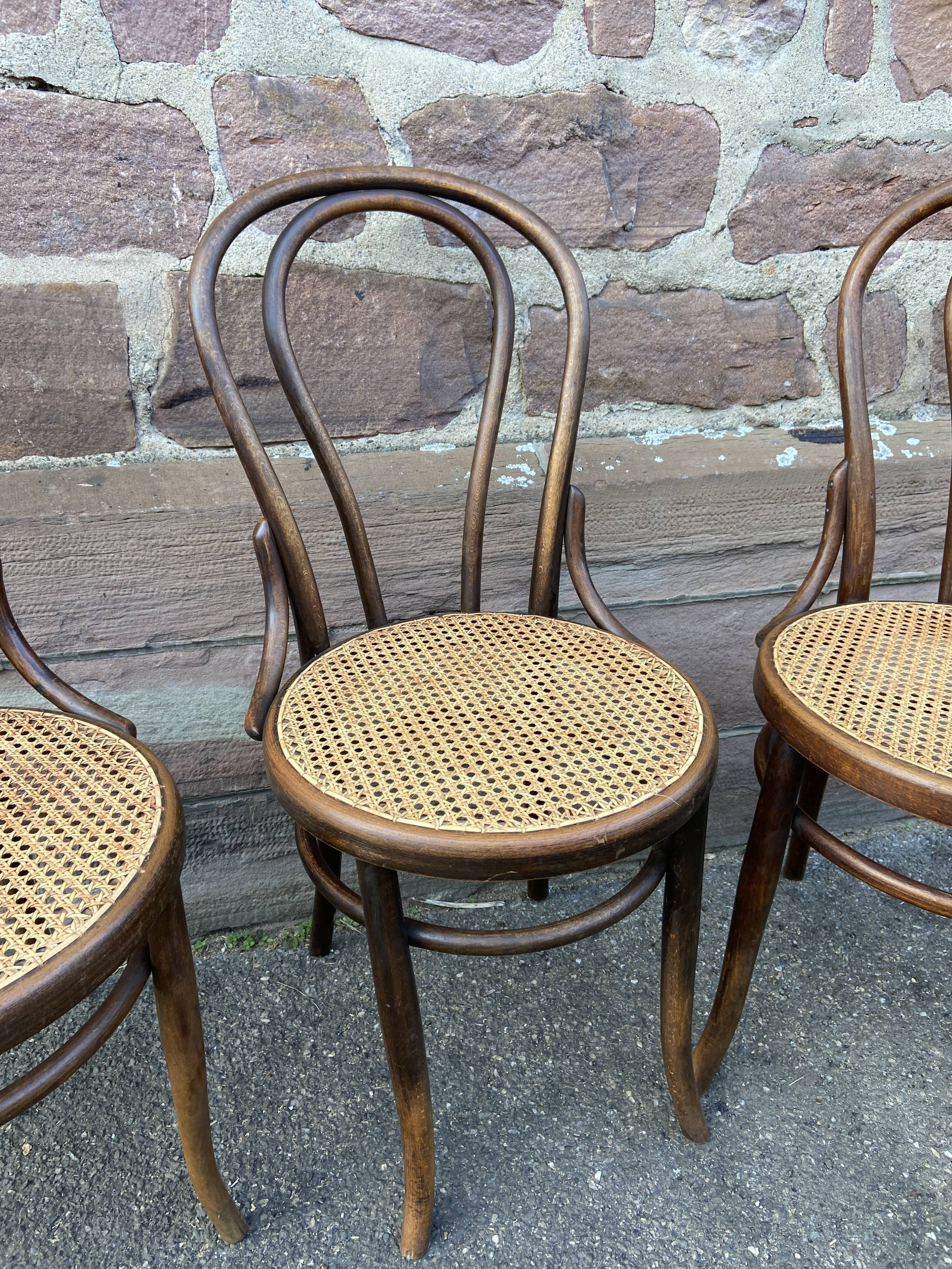 Suite of 4 chairs bistrot Fischel Nr 18 bentwood