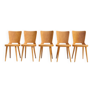 5 chaises baumann «