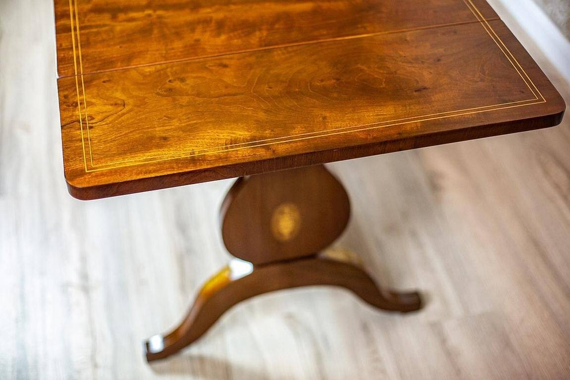 Antique Biedermeier Living Room Set, 1890s, Set of 7