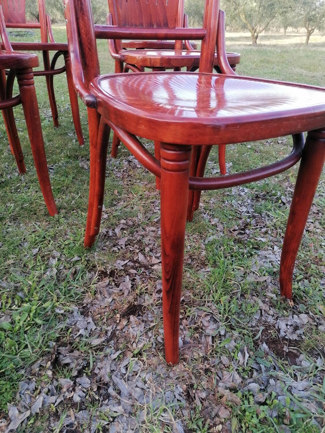 Set of 6 vintage bentwood bistro chairs