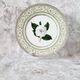 Vintage plate from the royal horticultural society applebee collection of england